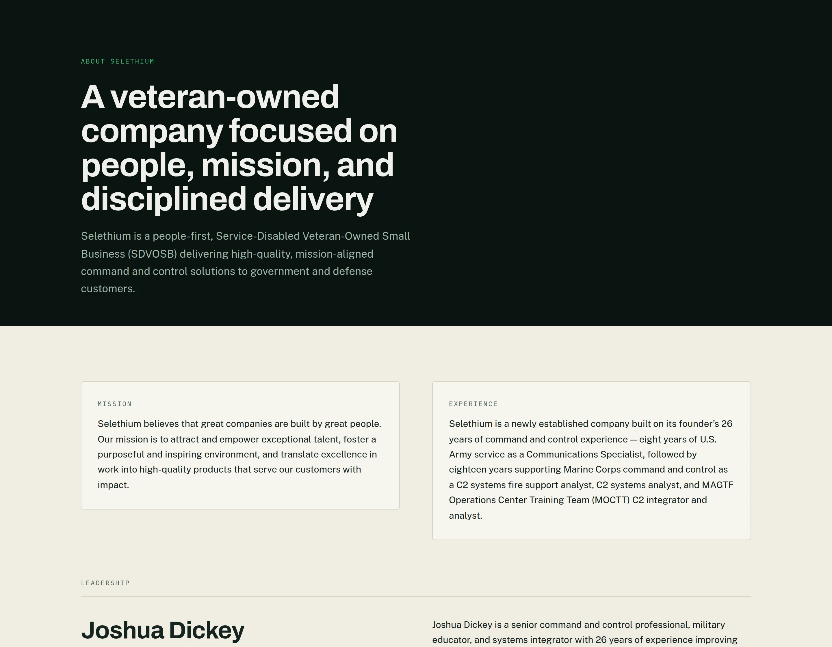 The about page: a dark heading band reading 'A veteran-owned company focused on people, mission, and disciplined delivery', opening onto bone panels headed Mission and Experience.
